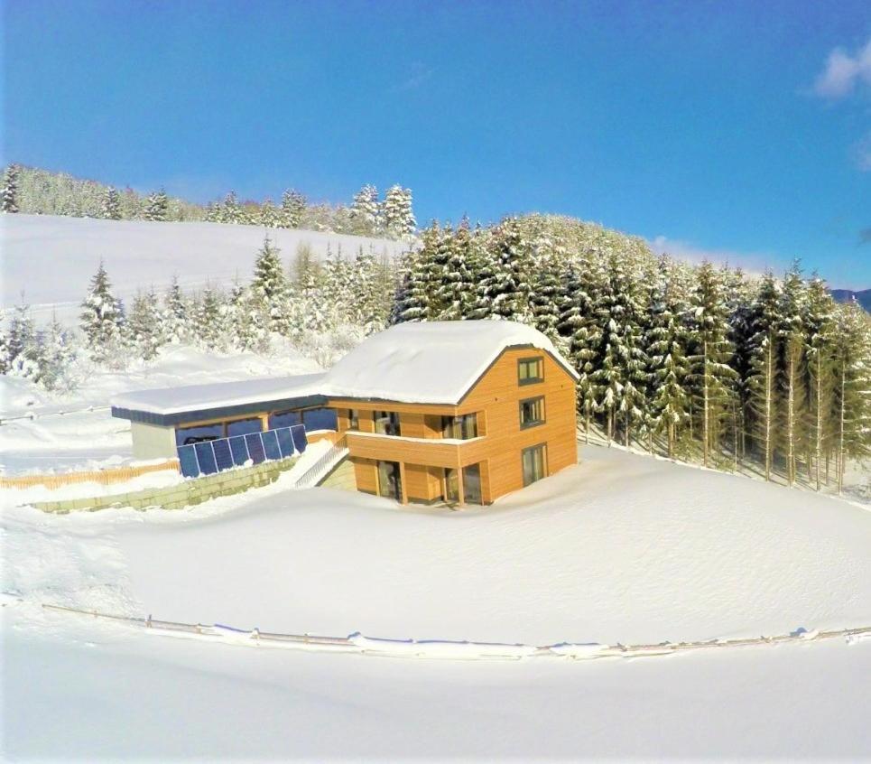 Chalet Traumblick 毛特恩多夫 外观 照片