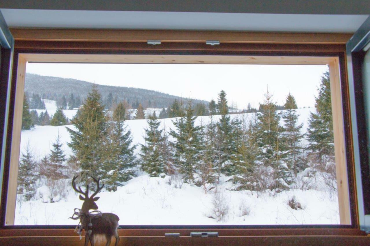 Chalet Traumblick 毛特恩多夫 外观 照片